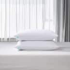 Tencel Cotton Blend Tencel-Around 95 Feather 5 Down Jumbo Medium Firm Pillow (2-Pack)