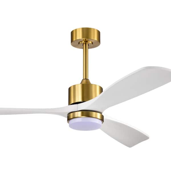 Warehouse of Tiffany Tariq 52 in. 1-Light Indoor Brass Finish Ceiling Fan