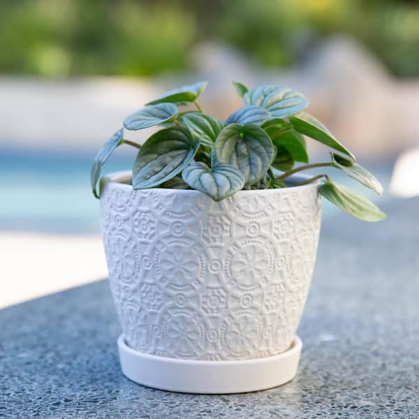 indoor planter with stand Mini Wood Indoor Plant Stand with Ceramic Pot main image 1