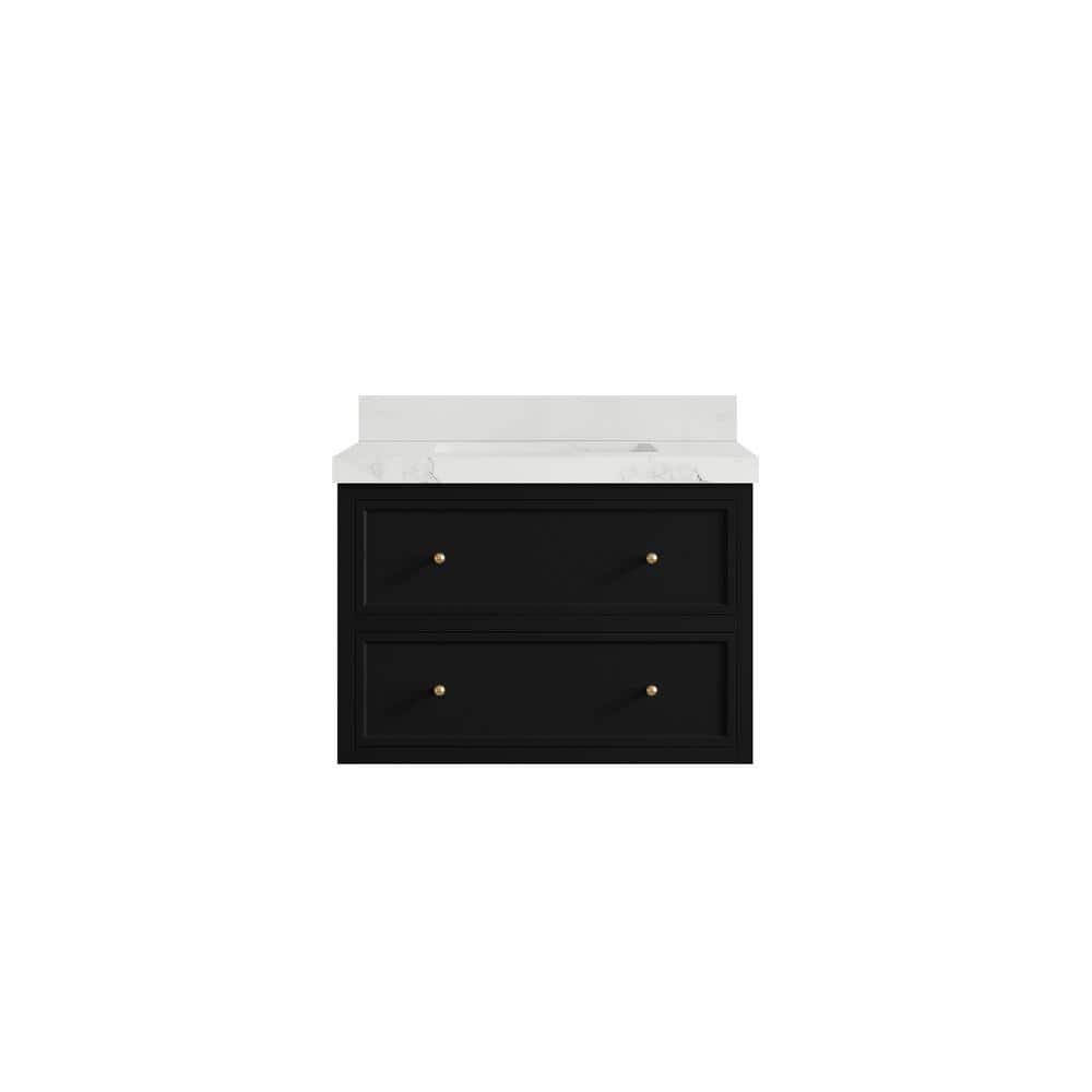 Roswell 30 in. Single Sink Freestanding Black Bath Vanity with Calacatta Nuvo Qt. Top Unassembled price history on PriceWatchPro
