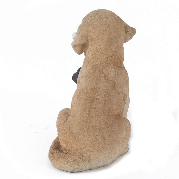  Tree Buddees Pet Puppy's First Christmas Bone Present Dog  Ornaments (Black Lab) : Home & Kitchen