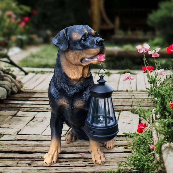 Dog Rottweiler Statues Sculptures Garden Decoration 0922XC61Q