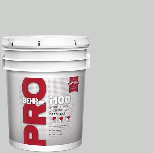 5 gal. #HDC-MD-06G Sparkling Silver Dead Flat Interior Paint