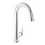 KOHLER Cruette Single-Handle Pull-Down Sprayer Kitchen Faucet in ...