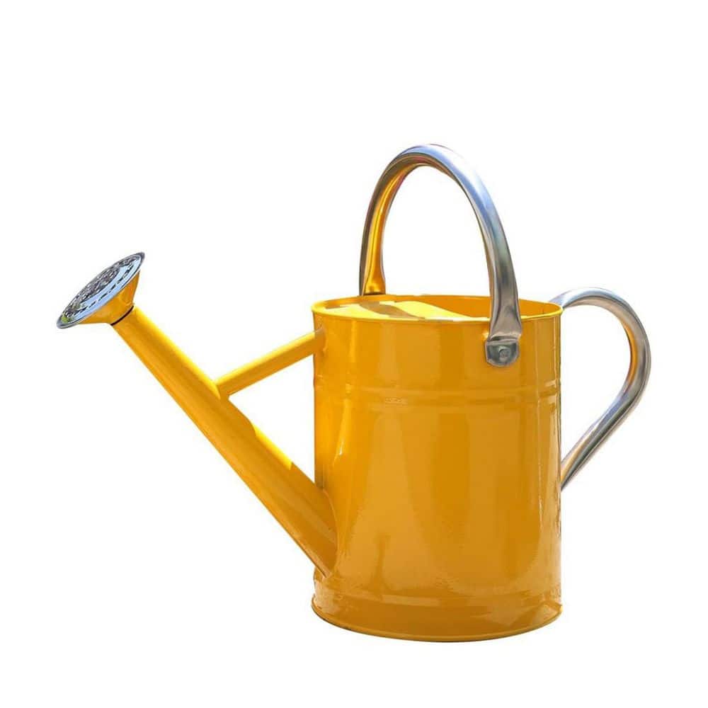 1 gal. Yellow Stainless Steel Watering Cans L0DZX66LJC - The Home