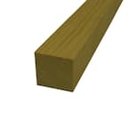 2 in. x 2 in. x 6 ft. Select Pine Board