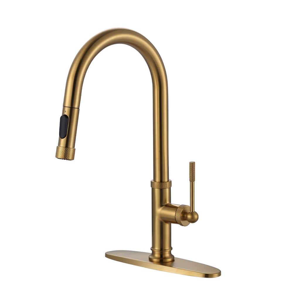 Single Handle Pull Down Sprayer Kitchen Faucet with Advanced Spray in Brushed Gold price history on PriceWatchPro