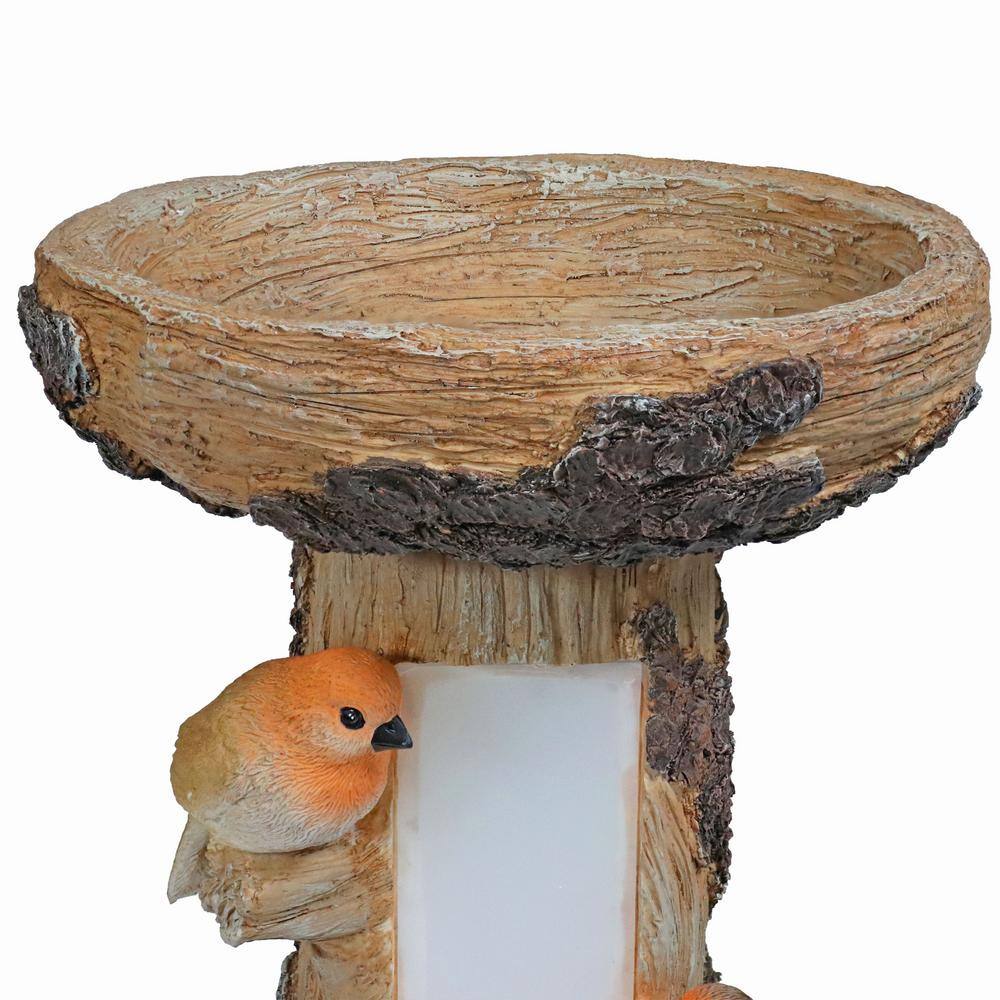 Rustic Brown Polyresin Tree Stump Bird Bath with Solar LED Address Plate