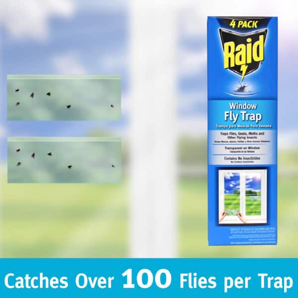 Raid Window Fly Trap Discreet and Effective Fly Adhesives, 4 Count 