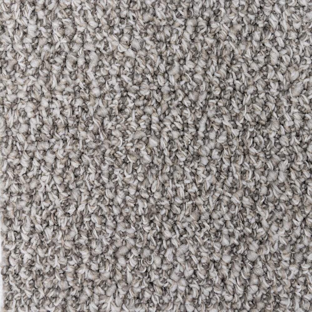 8 in. x  8 in. Loop Carpet Sample - Mcdonald Street -Color Elm price history on PriceWatchPro