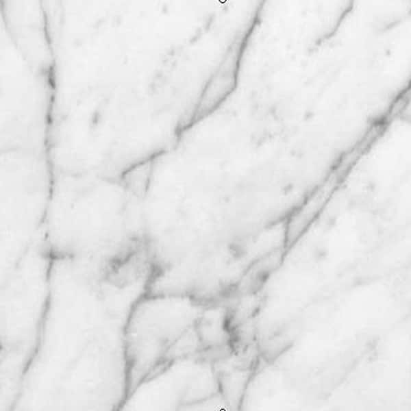 Pegasus - 4 in. x 4 in. White Carrara Marble Sample