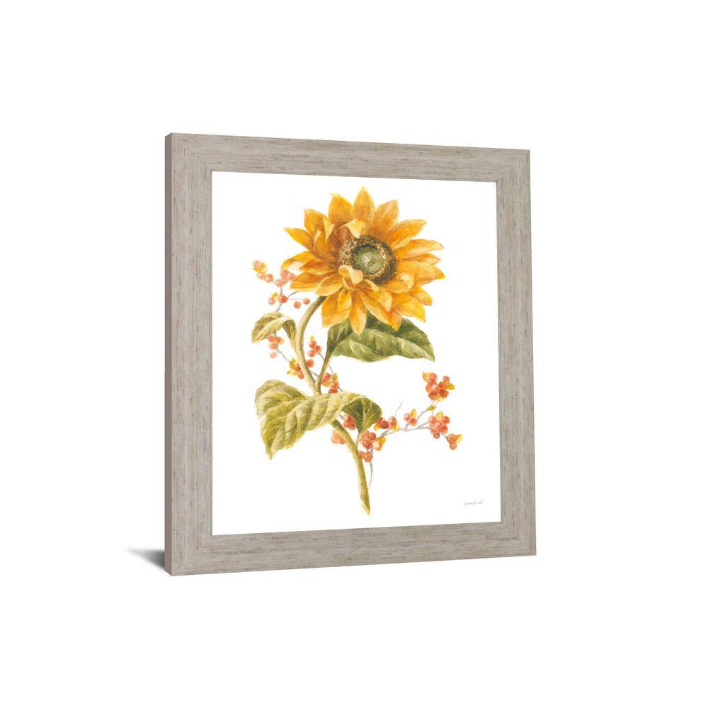 28 in. x 34 in. FLOURSACK AUTUMN I ON WHITE BY DANHUI NAI (Mirror Framed) price history on PriceWatchPro