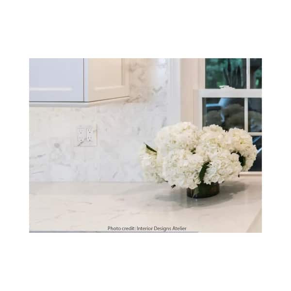 Apollo Tile Elysian 10 in. x 10 in. Honed Warm White