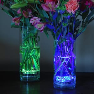 Multi-Color LED Lights with Remote (2-Pack)