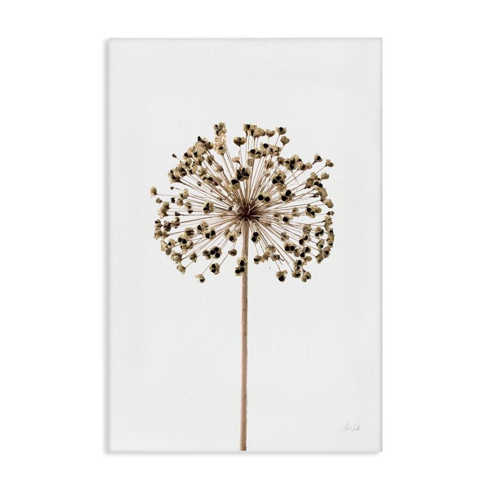 Minimal Allium Bud by Deborah Revell Unframed Nature Graphic Art Print 36 in. x 24 in. price history on PriceWatchPro