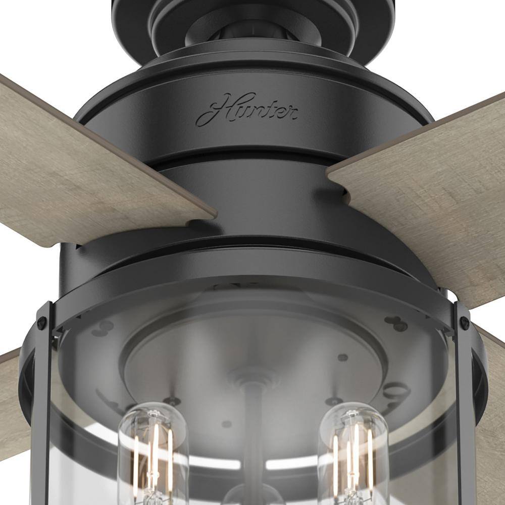 Astwood Matte Black 52" LED Ceiling Fan with Rounded Cage Design