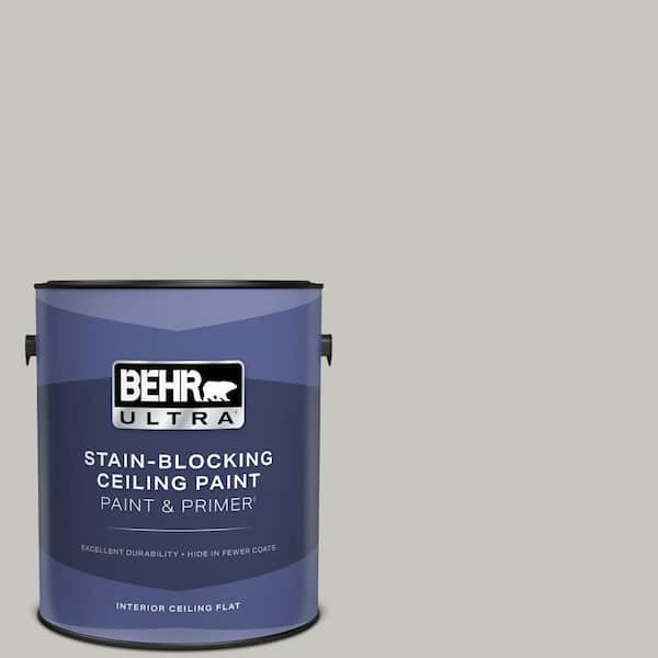 1 gal. #PPU24-16 Titanium Ceiling Flat Interior Paint with Primer