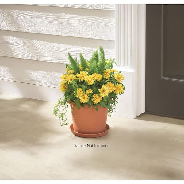 Antonella Medium Clay Plastic Planter with Drainage Hole (10 in. L x 10 in. W x 8 in. H)