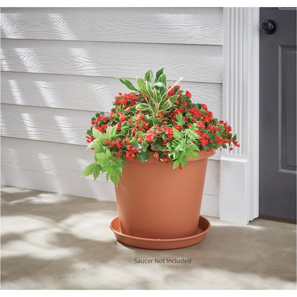 Antonella Large Clay Plastic Planter with Drainage Hole (20 in. L x 20 in. W x 16 in. H)