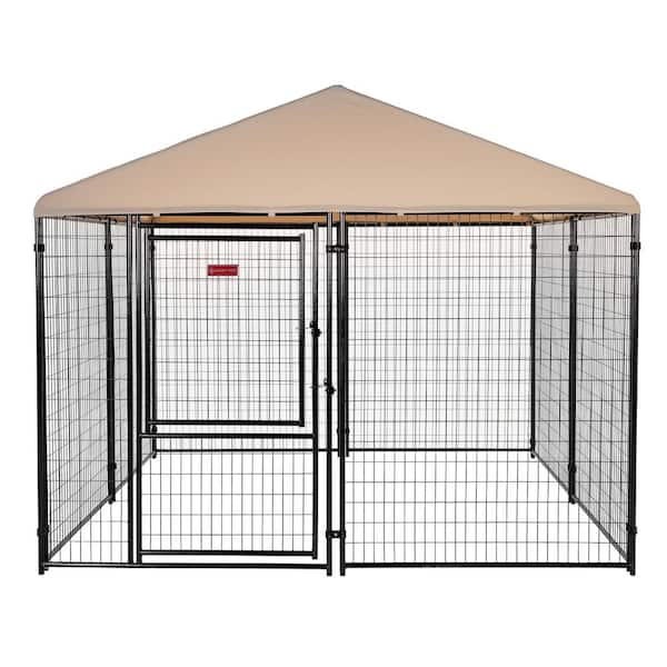 retriever 10x10 dog kennel