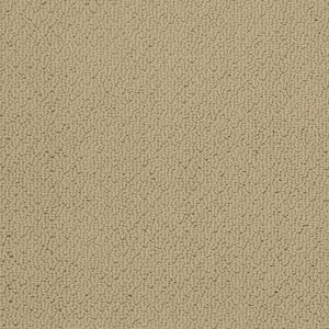 8 in. x 8 in.  Pattern Carpet Sample - Cliffmont - Color Downy Luster