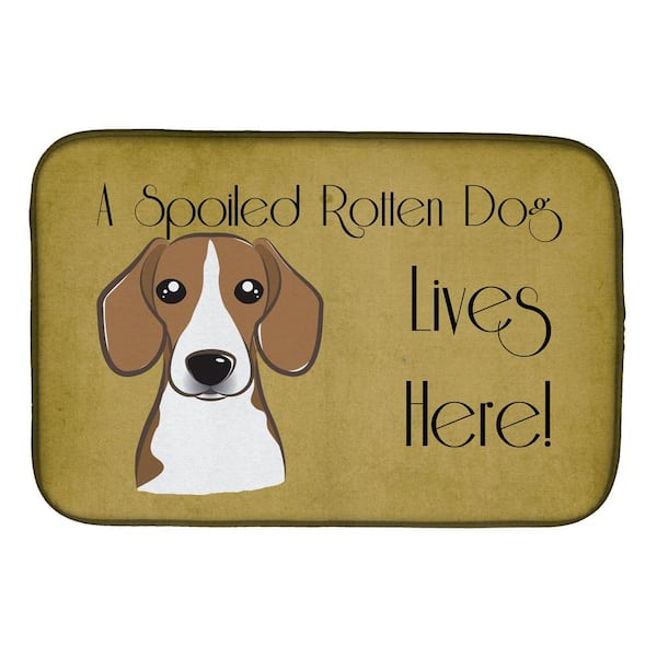 beagle dish
