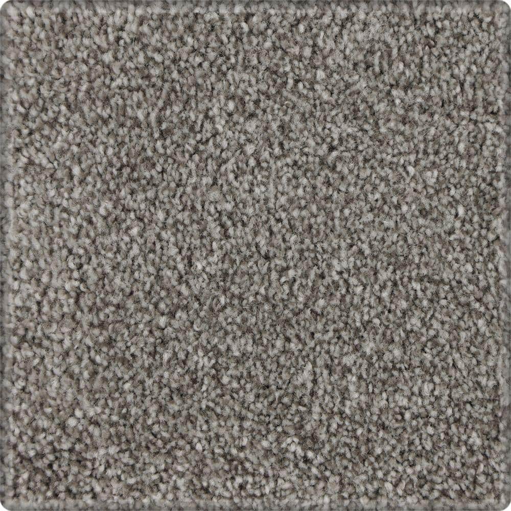 Carpet Flooring, Renopedia Wiki