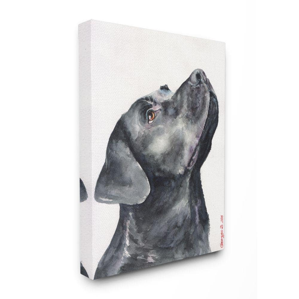 Dog Codes Wall Art for Sale