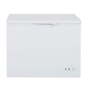 40.6 in. 9.6 cu. ft. Manual Defrost Chest Freezer with Locking Lid, Garage Ready, in White