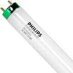 32-Watt 4 ft. Linear T8 Tube Fluorescent Light Bulb Cool White (4100K) (30-Pack)
