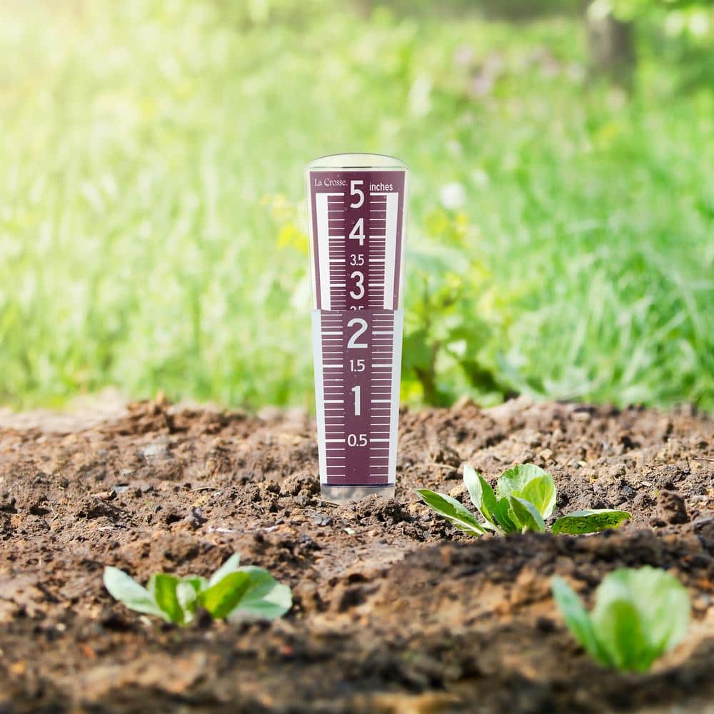 Large Burgundy Acrylic Easy Read Rain Gauge