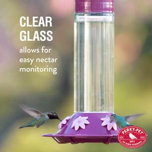 Our Best Wine Base Glass Hummingbird Feeder - 30 oz. Capacity