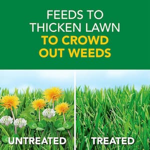 Turf Builder 11.32 lbs. 4,000 sq. ft. Weed and Feed5, Weed Killer Plus Lawn Fertilizer