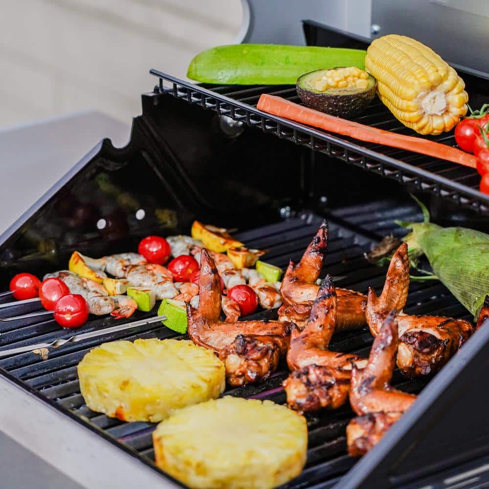 Mesa 2-Burner Stainless Steel Propane Gas Grill with LED Controls
