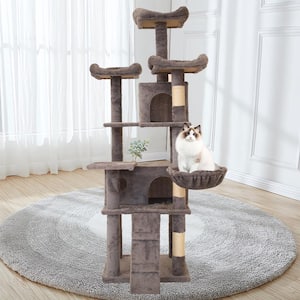 Cat condominium hotsell