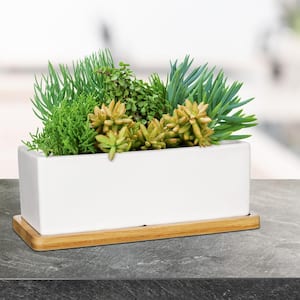 9 in. Nipp Medium White Ceramic Rectangle Planter (9 in. L x 8.5 in. W x 3.4 in. H) with Attached Tray