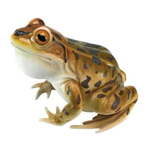 9 in. H Lester The Leopard Frog Statue