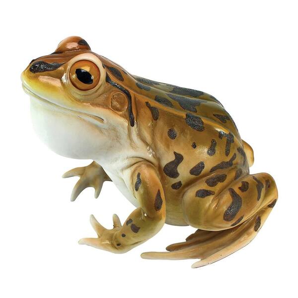 Design Toscano 9 in. H Lester The Leopard Frog Statue JQ6119 - The Home ...