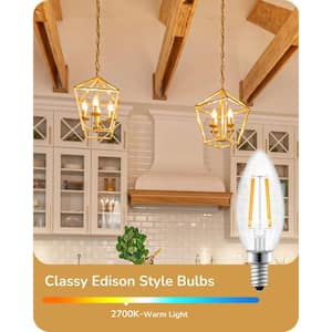 60-Watt Equivalent 10%-100% Dimmable E12 Vintage Edison LED Light Bulb Warm White 2700K (6-Pack)