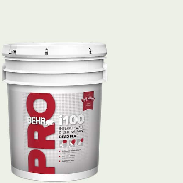 5 gal. #440C-1 Cool White Dead Flat Interior Paint
