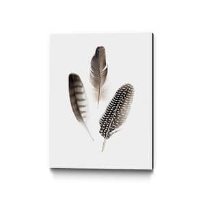 16 in. x 20 in. "Feathers I" by PI Studio Wall Art