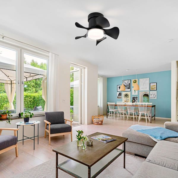 21 in. Modern 5-Blade Indoor Black Ceiling Fan with Quiet Reversible DC Motor for Bedroom or Living Room