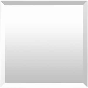 Phoebus 18 in. H x 18 in. W Square Beveled Edge Wall Mirror
