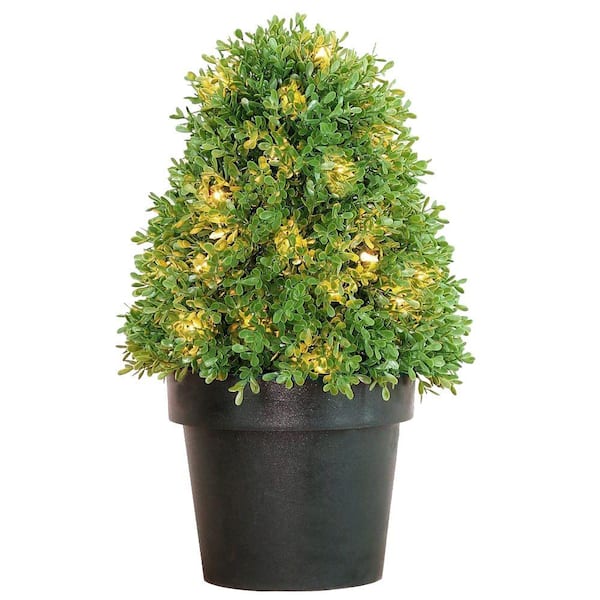 National Tree Company 18 in. Artificial Boxwood Tree with Dark Green Growers Pot with 35 Clear Lights