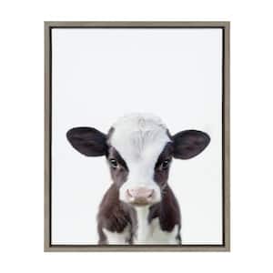 Sylvie "Baby Cow Portrait" by Amy Peterson Art Studio Framed Canvas Wall Art