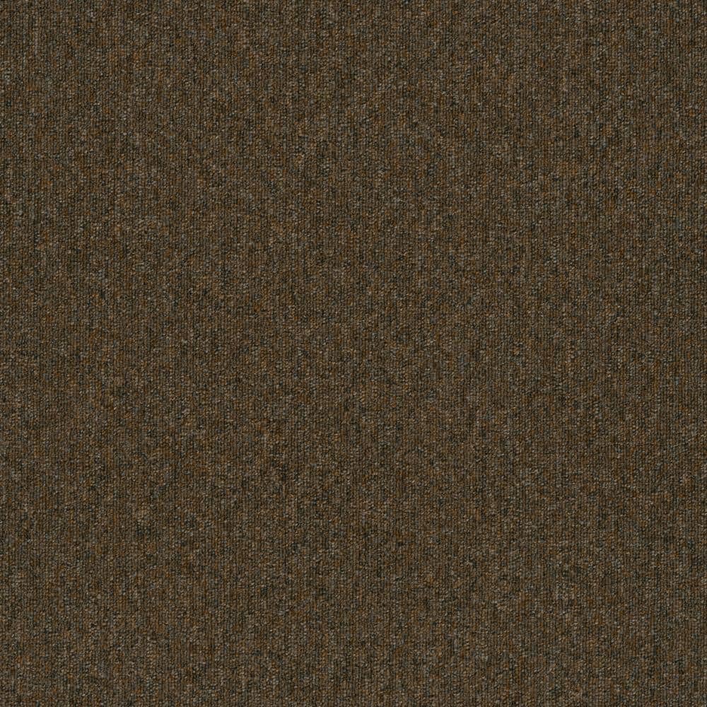 8 in. x 8 in. Loop Carpet Sample - Form Focus 26 - Color Roasted price history on PriceWatchPro