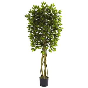 5.5 ft. Artificial UV Resistant Indoor/Outdoor Ficus Tree