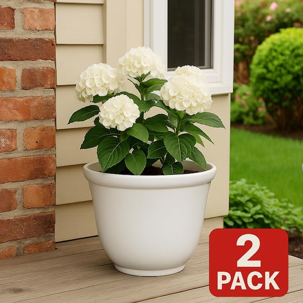 16 in. Dia Cream Resin Round Felicia Planter (2-Pack)