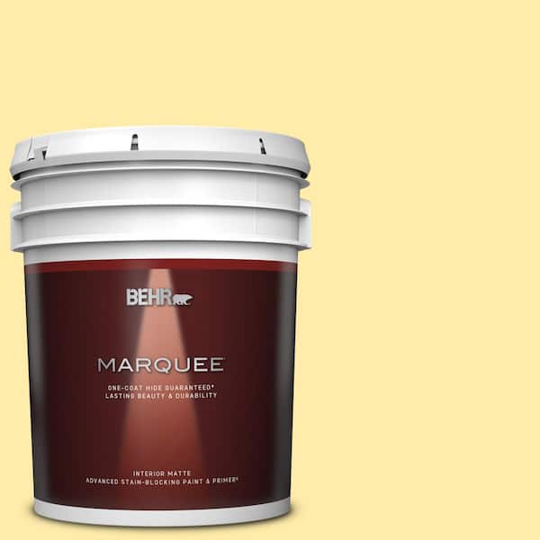 BEHR MARQUEE 5 gal. #P300-3 Rite of Spring Matte Interior Paint & Primer
