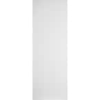 28 in. x 80 in. No Panel Primed White Smooth Flush Hardboard Hollow Core Composite Interior Door Slab
